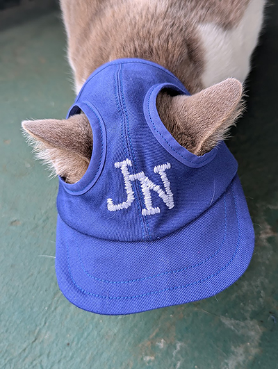 HANDMADE ペットキャップ